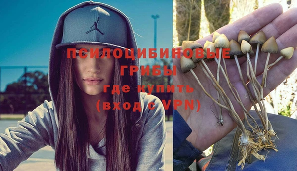 ешки Белоозёрский