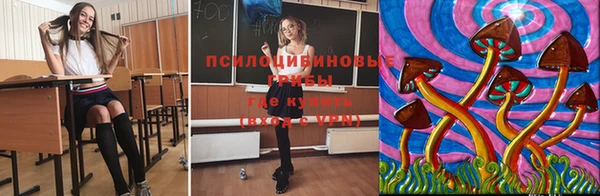 мдпв Богородск